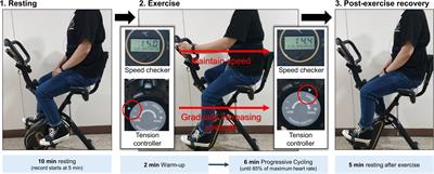 Is Ultra-Short-Term Heart Rate Variability Valid in Non-static Conditions?